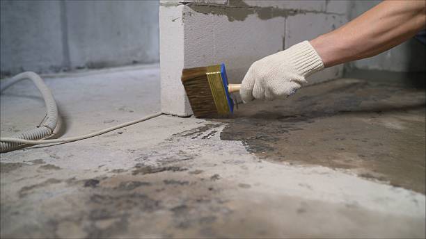 SJ Waterproofing Pros Basement Waterproofing coverage map for Windsor, IL and surrounding area